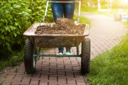 Domestic skip hire options for clear-outs and renovations