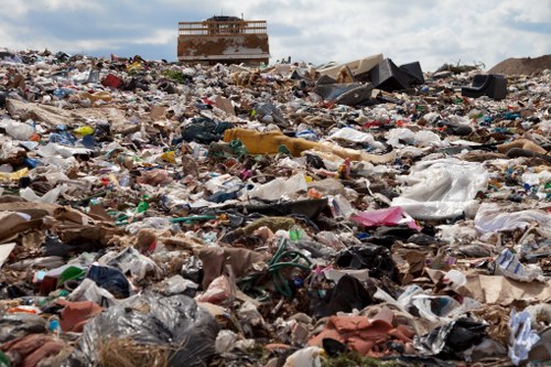 Clean and organized skip hire service in Peckham